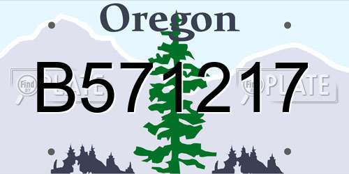 B571217 Oregon License Plate