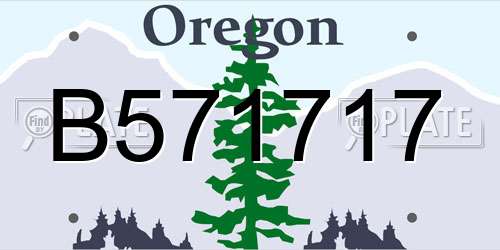 B571717 Oregon License Plate
