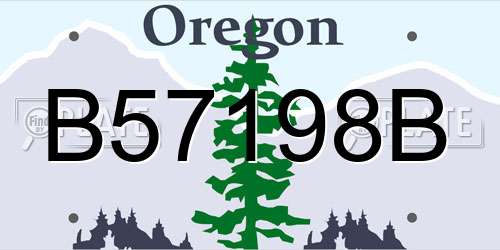 B57198B Oregon License Plate