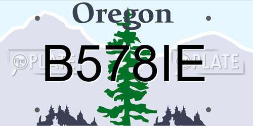 B578IE Oregon License Plate