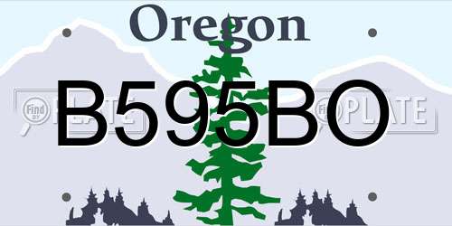 B595BO Oregon License Plate