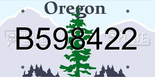 B598422 Oregon License Plate