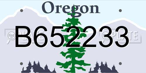 B652233 Oregon License Plate