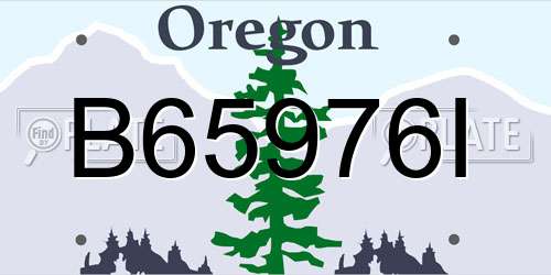 B65976I Oregon License Plate