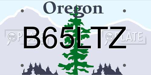 B65LTZ Oregon License Plate