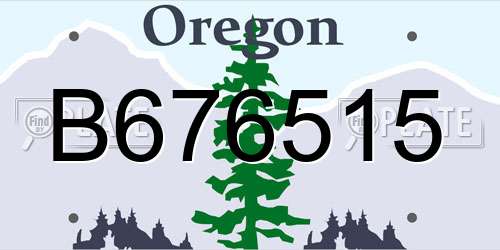B676515 Oregon License Plate