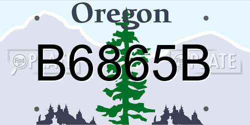 B6865B Oregon License Plate