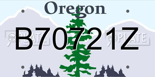 B70721Z Oregon License Plate