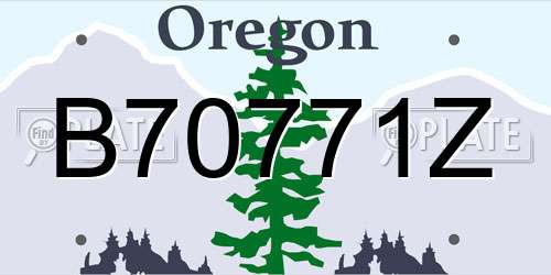 B70771Z Oregon License Plate