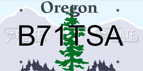 B71TSA Oregon License Plate
