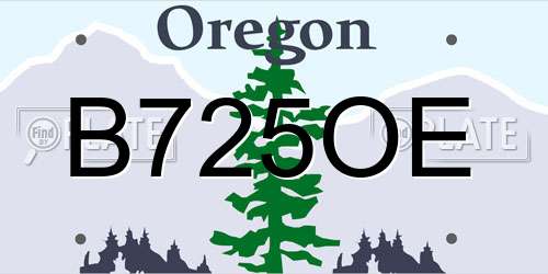 B725OE Oregon License Plate