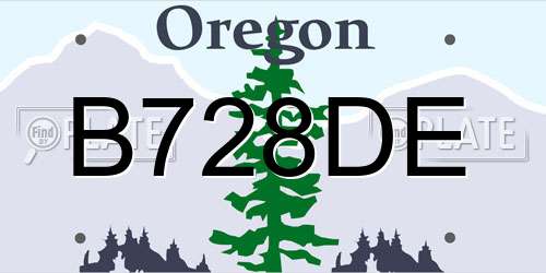 B728DE Oregon License Plate