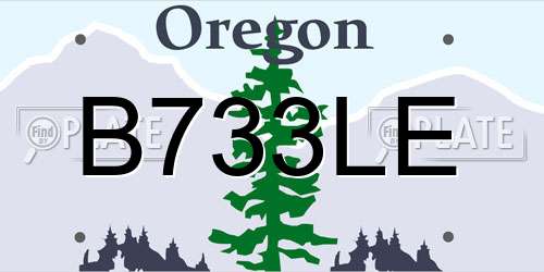 B733LE Oregon License Plate