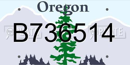B736514 Oregon License Plate