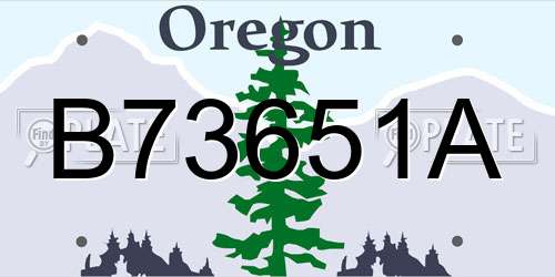 B73651A Oregon License Plate