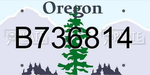 B736814 Oregon License Plate