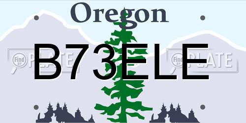 B73ELE Oregon License Plate