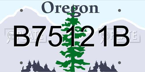 B75121B Oregon License Plate