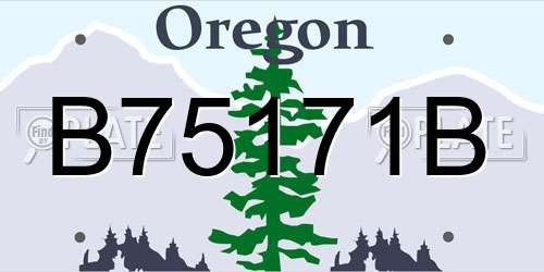 B75171B Oregon License Plate