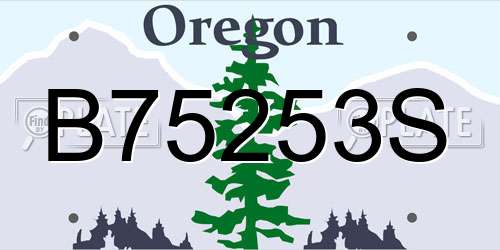 B75253S Oregon License Plate