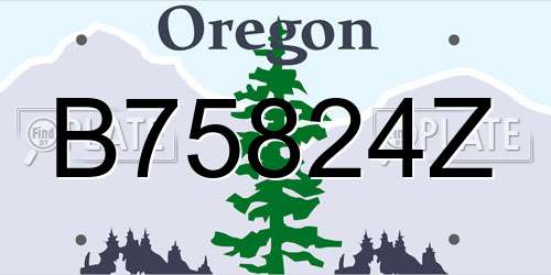 B75824Z Oregon License Plate