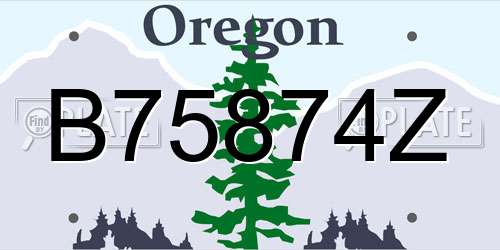 B75874Z Oregon License Plate