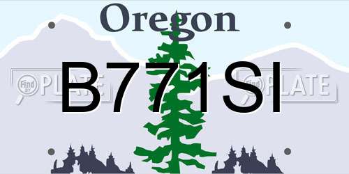 B771SI Oregon License Plate