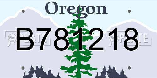 B781218 Oregon License Plate