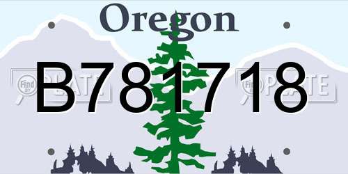 B781718 Oregon License Plate