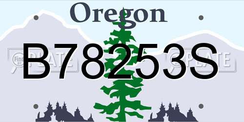 B78253S Oregon License Plate