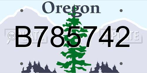 B785742 Oregon License Plate