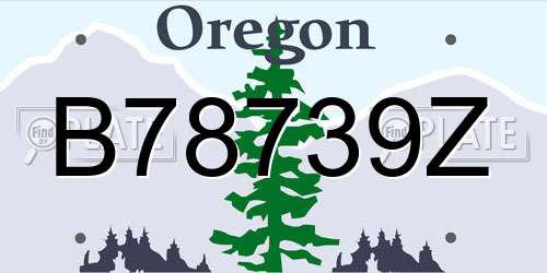 B78739Z Oregon License Plate