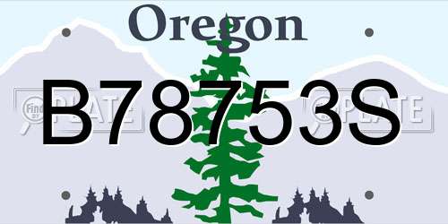 B78753S Oregon License Plate