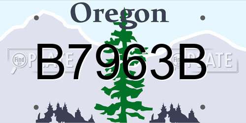 B7963B Oregon License Plate