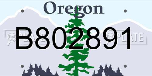 B802891 Oregon License Plate
