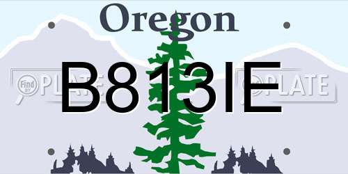 B813IE Oregon License Plate