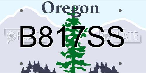 B817SS Oregon License Plate