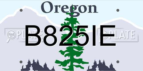B825IE Oregon License Plate