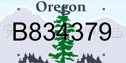 B834379 Oregon License Plate