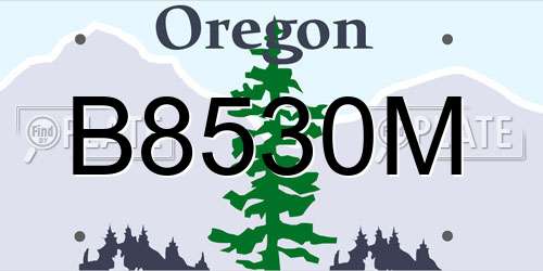 B8530M Oregon License Plate