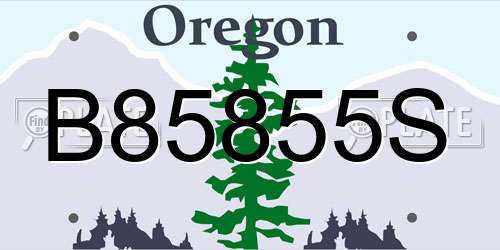 B85855S Oregon License Plate