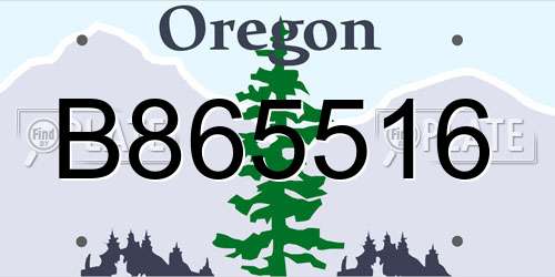 B865516 Oregon License Plate