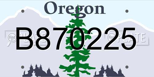 B870225 Oregon License Plate