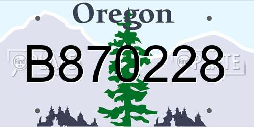 B870228 Oregon License Plate