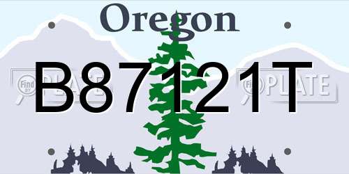 B87121T Oregon License Plate