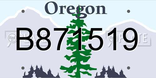B871519 Oregon License Plate