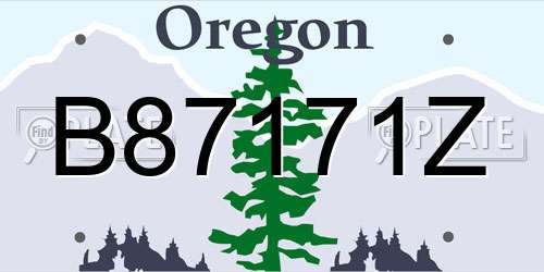 B87171Z Oregon License Plate