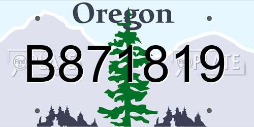 B871819 Oregon License Plate
