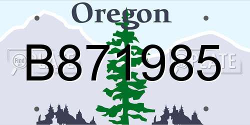 B871985 Oregon License Plate