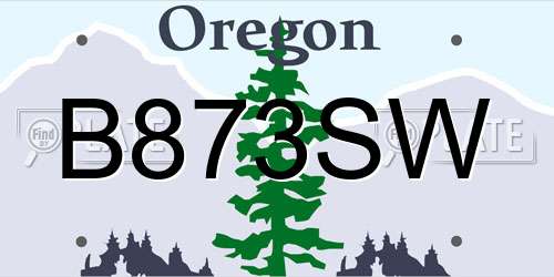 B873SW Oregon License Plate